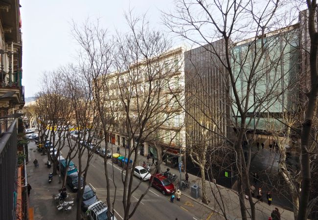 Apartamento en Barcelona - B51 Apartamento en Barcelona - B51