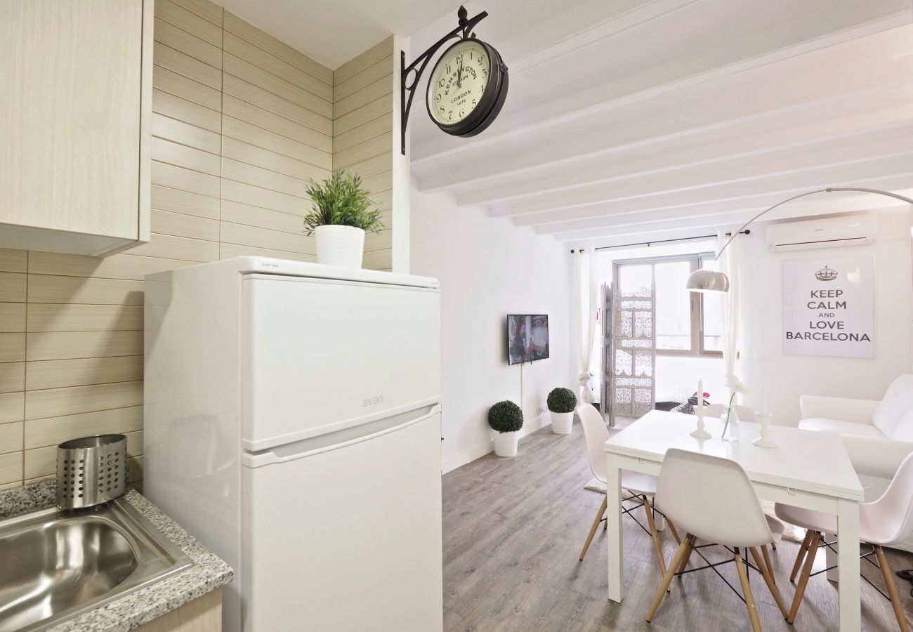 Apartamento en Barcelona - B51