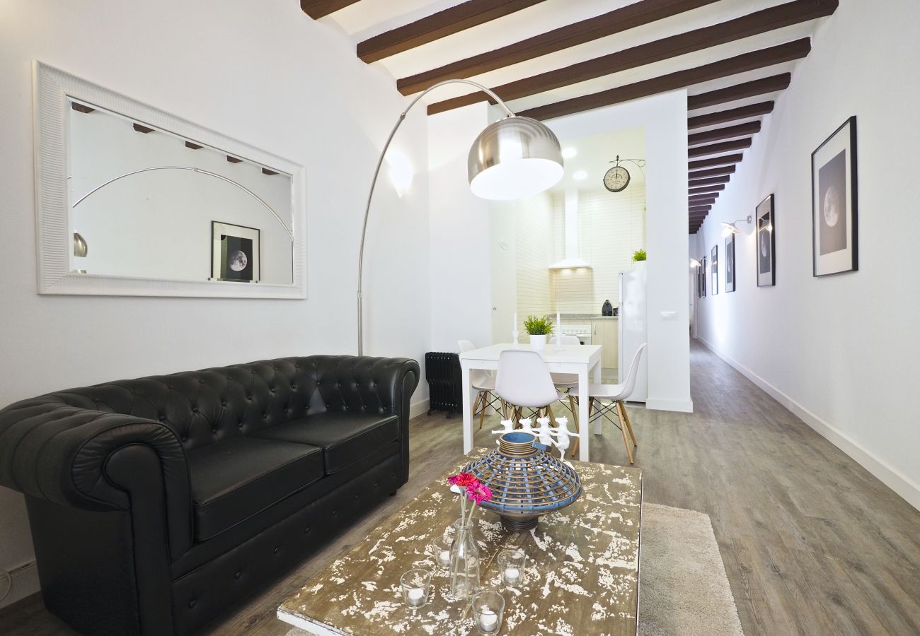 Apartment in Barcelona - B31