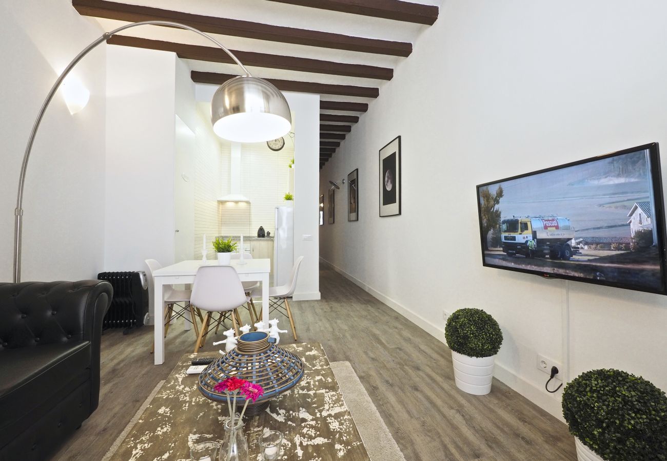 Apartment in Barcelona - B31